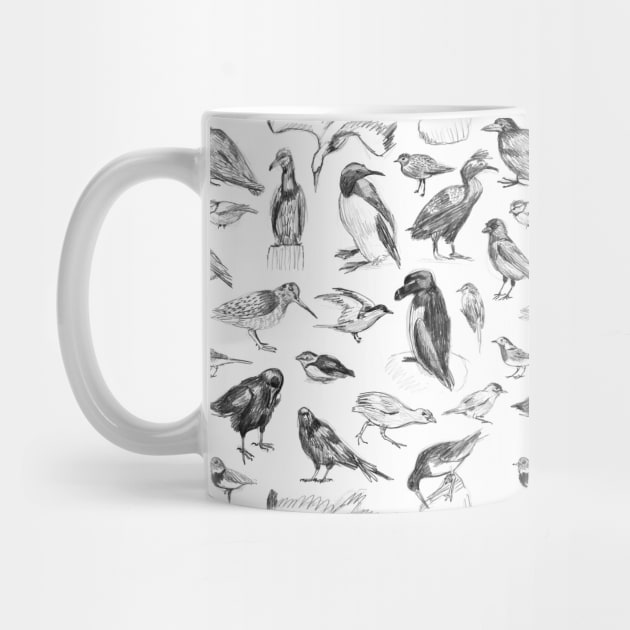 Manx Fauna – Birds by crumpetsandcrabsticks